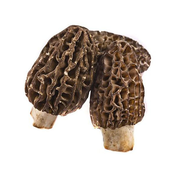 Dry Morel – France